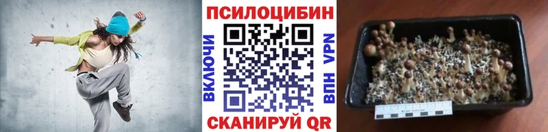 KRAKEN ONION Сафоново Псилоцибиновые грибы MAGIC MUSHROOMS