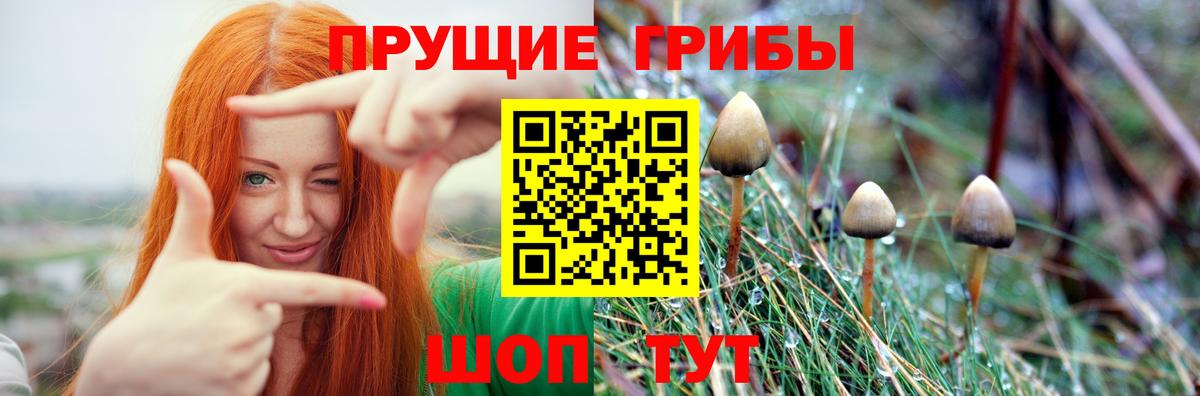 Галлюциногенные грибы мицелий  Псилоцибиновые грибы ЛСД  Сафоново 