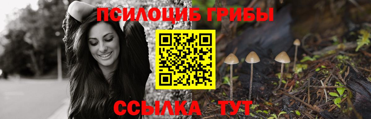 Псилоцибиновые грибы GOLDEN TEACHER Сафоново